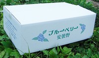 u[x[̉ʎ 400w12pbN(4.8kg)̔̎ʐ^